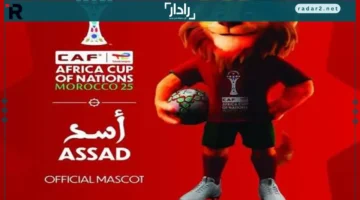 قناة مفتوحة تبث جميع مباريات أمم أفريقيا 2025 حصريًا